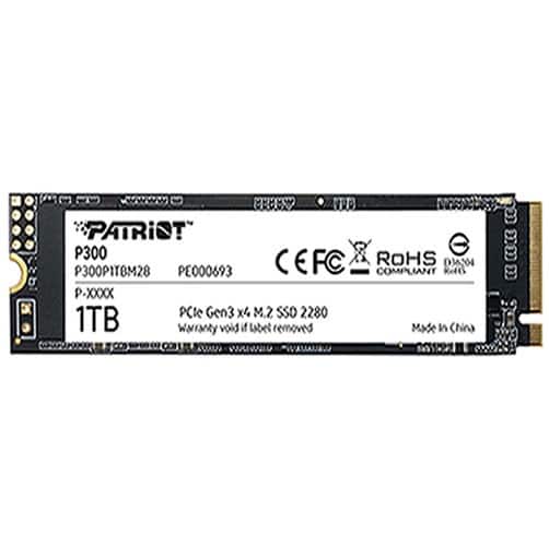 Patriot p300 1 TB