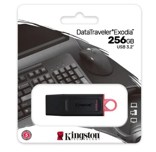 kingston datatraveler exodia  256 GB USB 3.2
