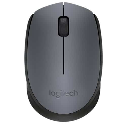 Logitech M170 - Gris
